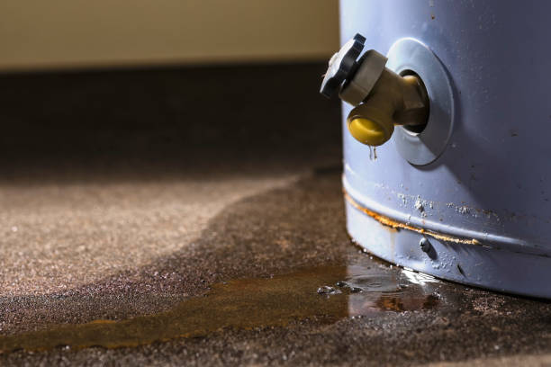 Best Local water damage restoration  in Miami Shores, FL