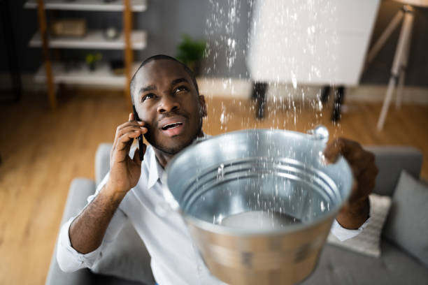 Local water damage restoration in FL