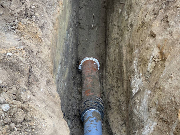 Best Flood damage cleanup  in Miami Shores, FL