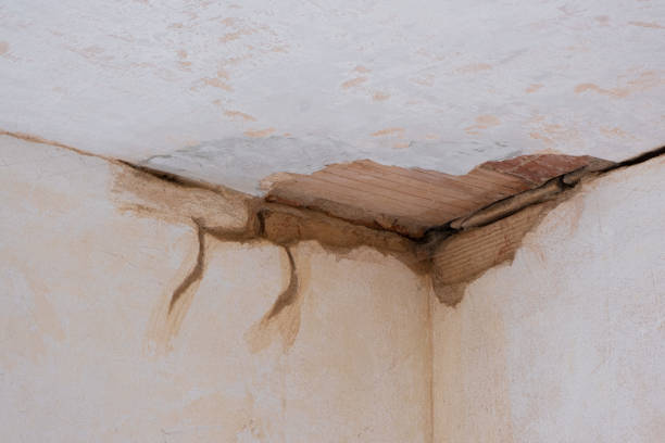 Best Ceiling water damage repair  in Miami Shores, FL