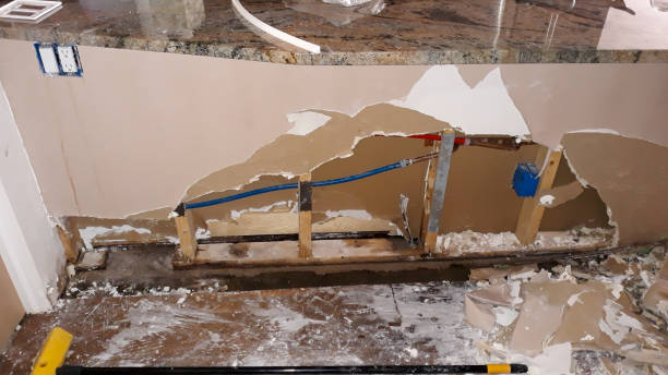 Best Flood restoration services  in Miami Shores, FL