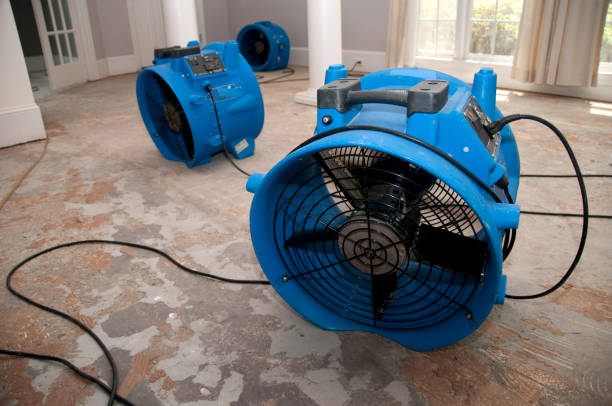 Best Residential water damage restoration  in Miami Shores, FL