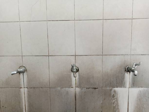 Best Water damage cleanup near me  in Miami Shores, FL