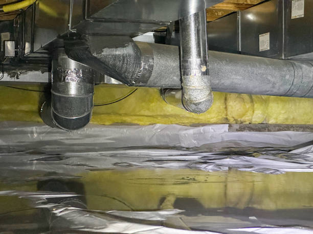 Best Water damage mitigation services  in Miami Shores, FL