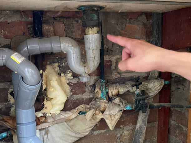 Best Local water damage restoration  in Miami Shores, FL